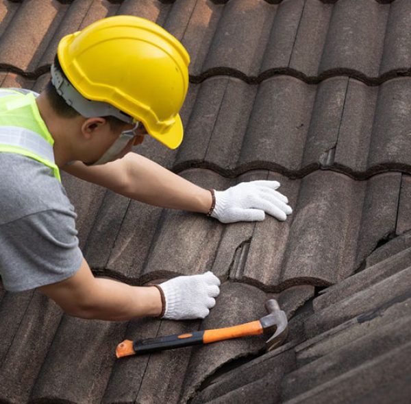 Blue and Purple Modern Reliable Roofing Service Experts Instagra